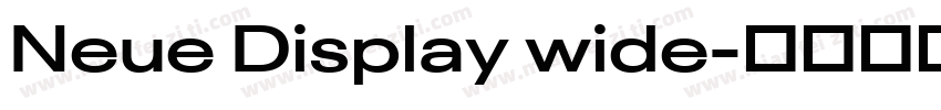 Neue Display wide字体转换